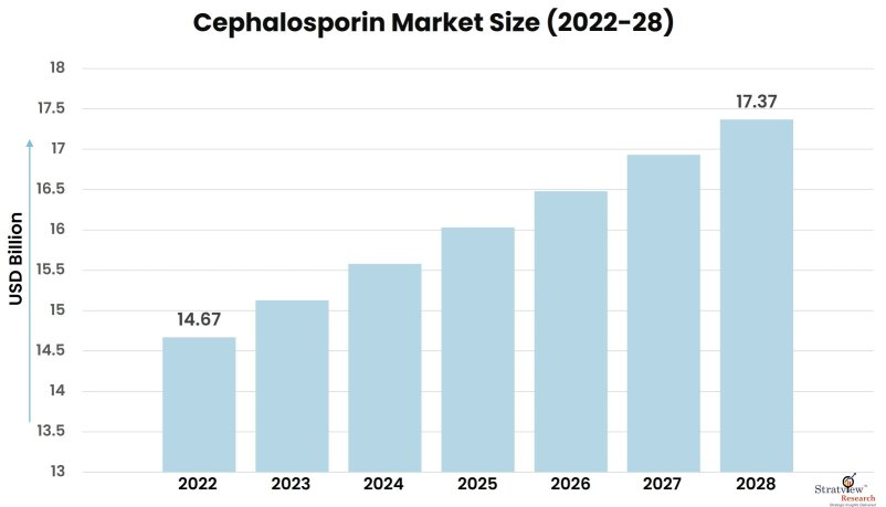 Cephalosporin-Market-Insights